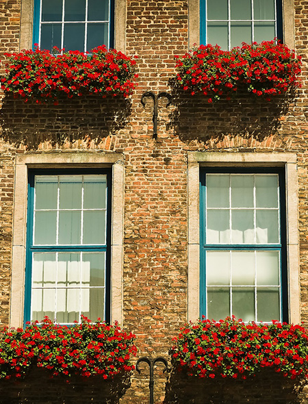 白金・麻布十番・三田
