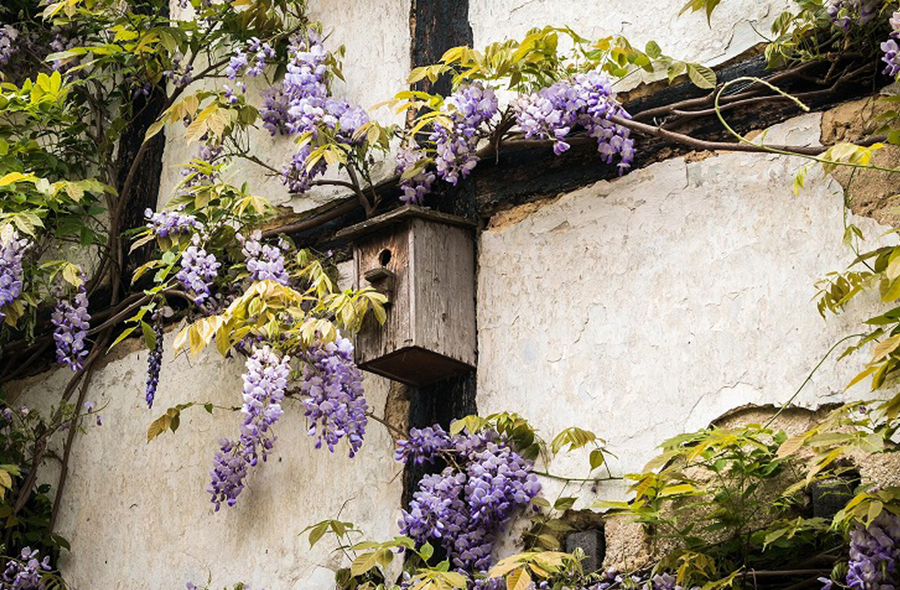 代官山・広尾・恵比寿