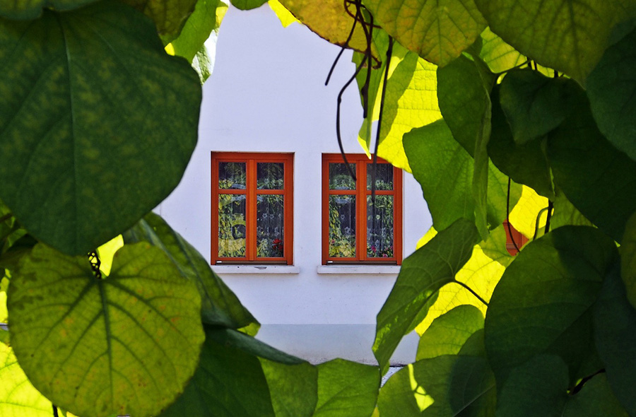 松濤・南平台・代々木上原