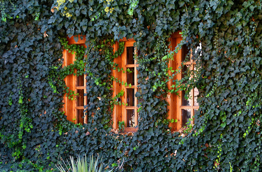 中目黒・青葉台・東山